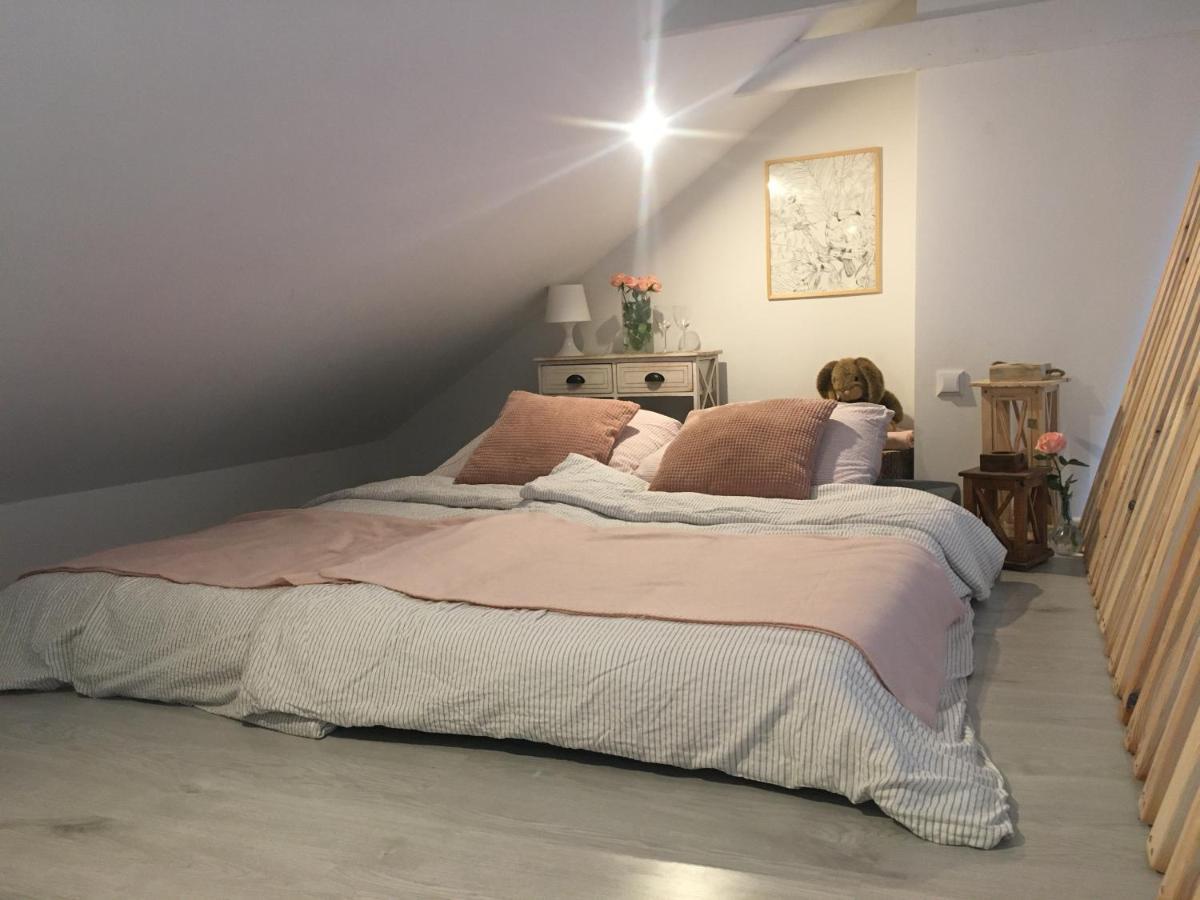 Apartament Z Antresola Okszow 外观 照片