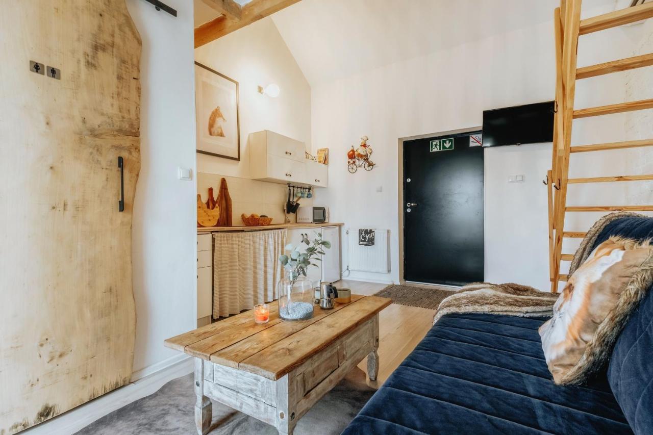Apartament Z Antresola Okszow 外观 照片