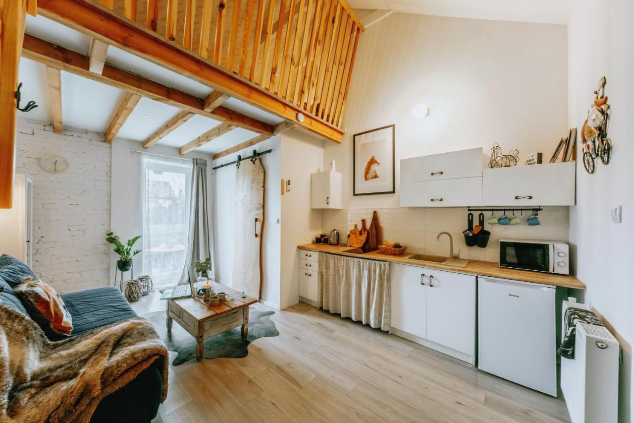 Apartament Z Antresola Okszow 外观 照片